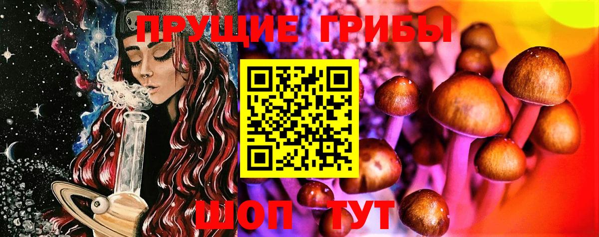 Галлюциногенные грибы Psilocybine cubensis Кушва
